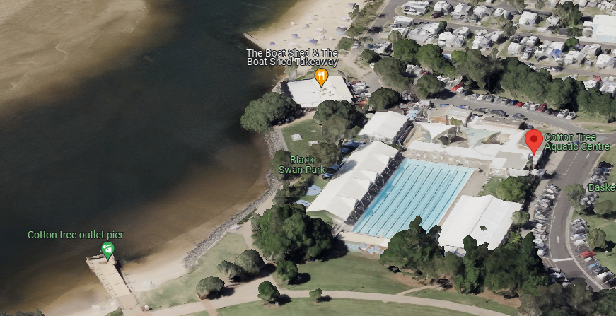 Swimfit Cotton Tree