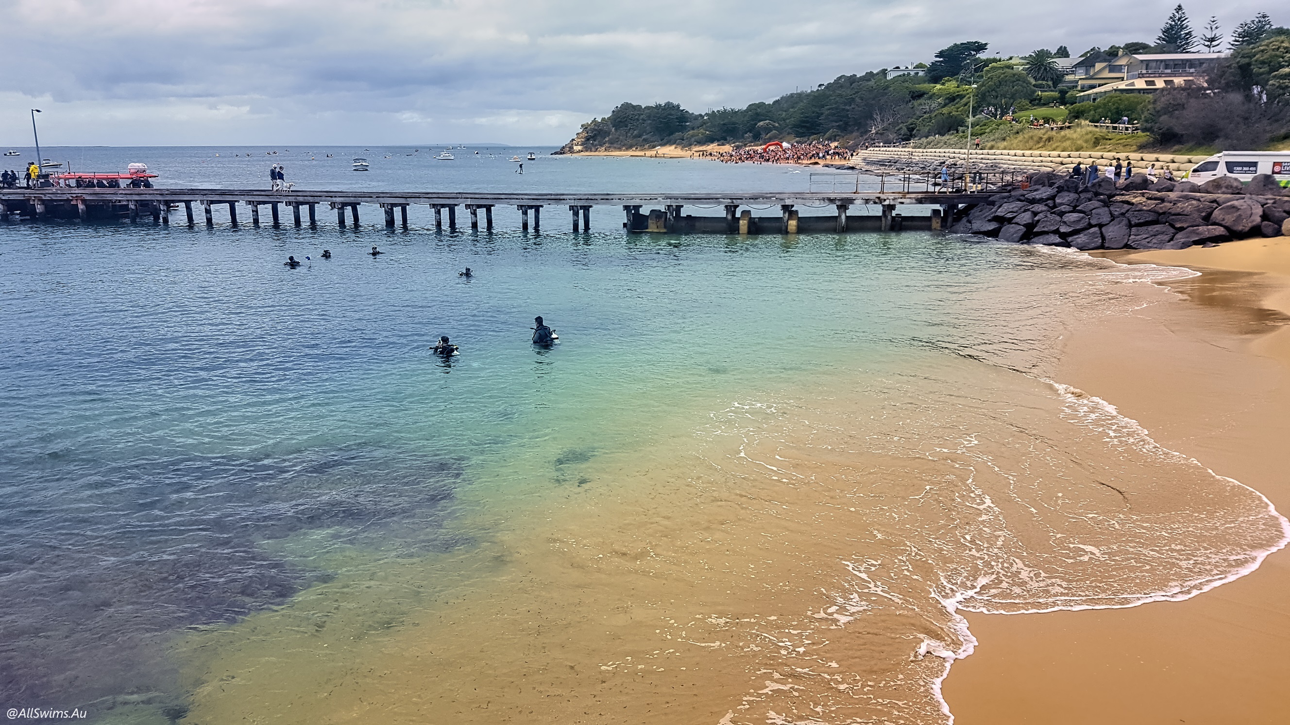 Portsea Winter Sharks